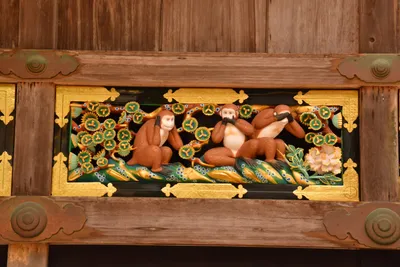 DSC_3858 (Large).JPG